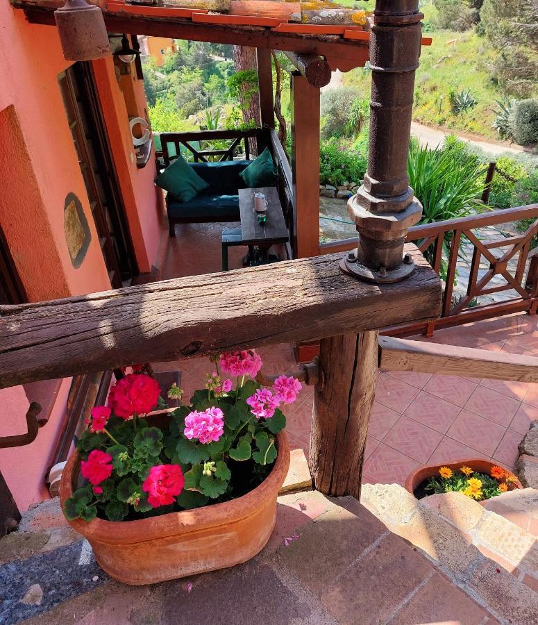 Villetta Dei Fichi D'India Rio nell'Elba Экстерьер фото